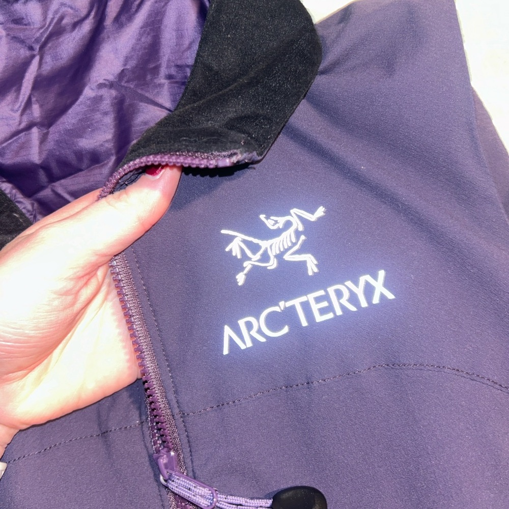 Arc'teryx Purple vest